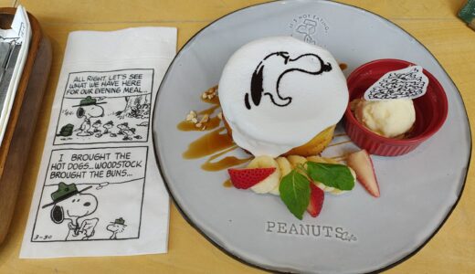 町田グランベリーパークのスヌーピーミュージアムに行ってみた！